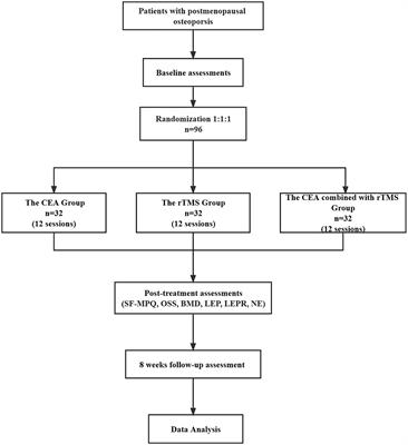 Catgut embedding in acupoints combined with repetitive transcranial magnetic stimulation for the treatment of postmenopausal osteoporosis: study protocol for a randomized clinical trial